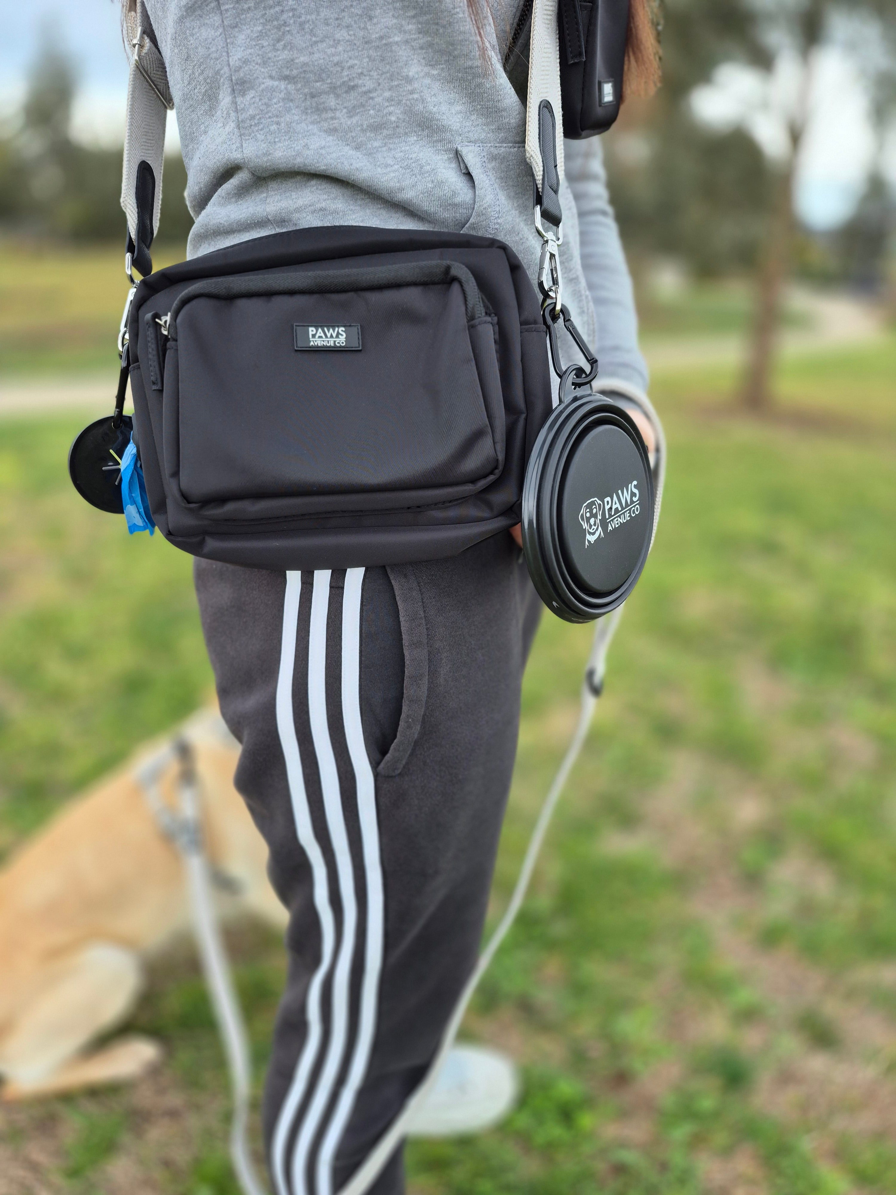 Collapsible Dog Bowl