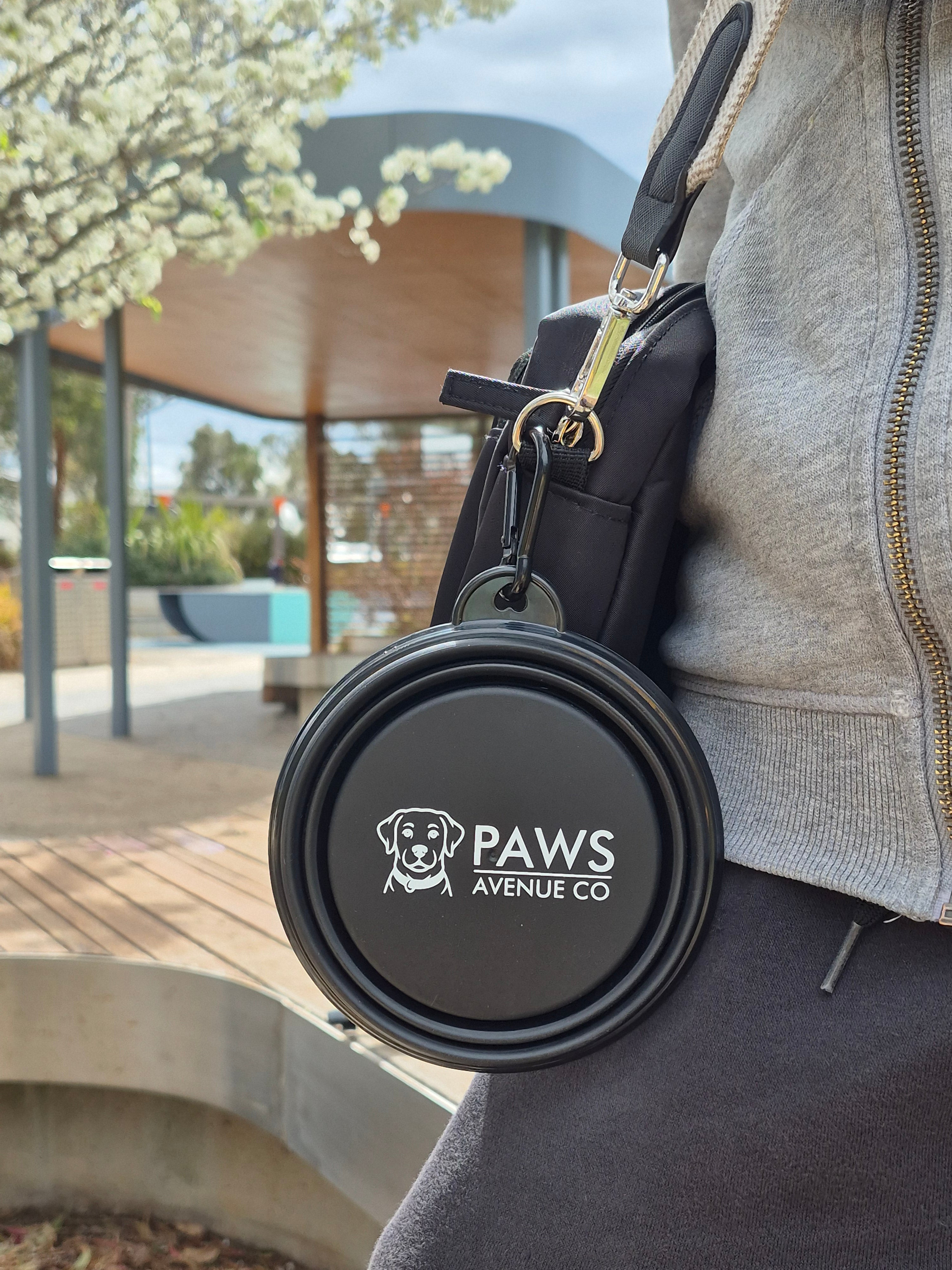 Collapsible Dog Bowl