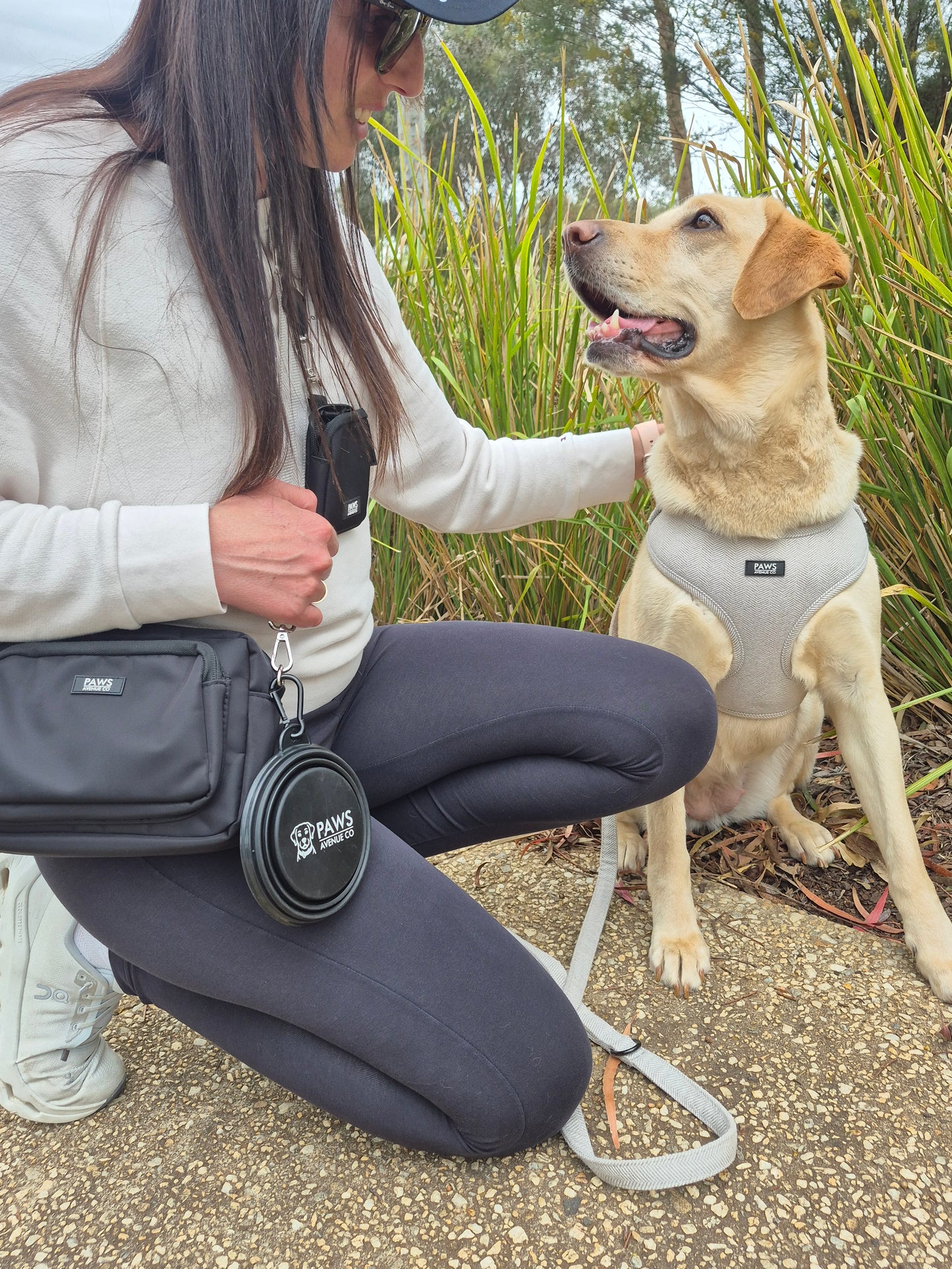 The Coordinated Dog Walk Bundle