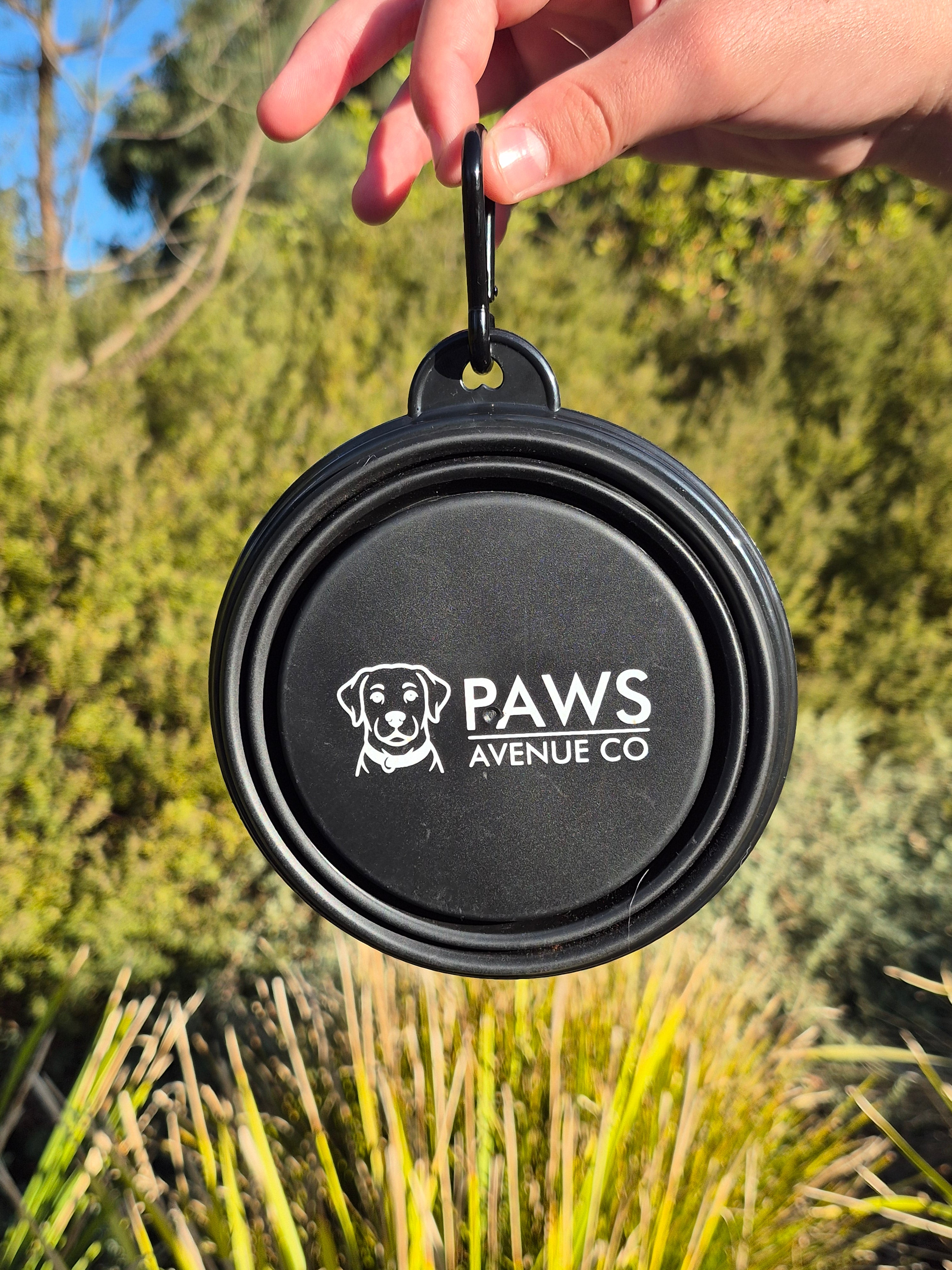 Collapsible Dog Bowl