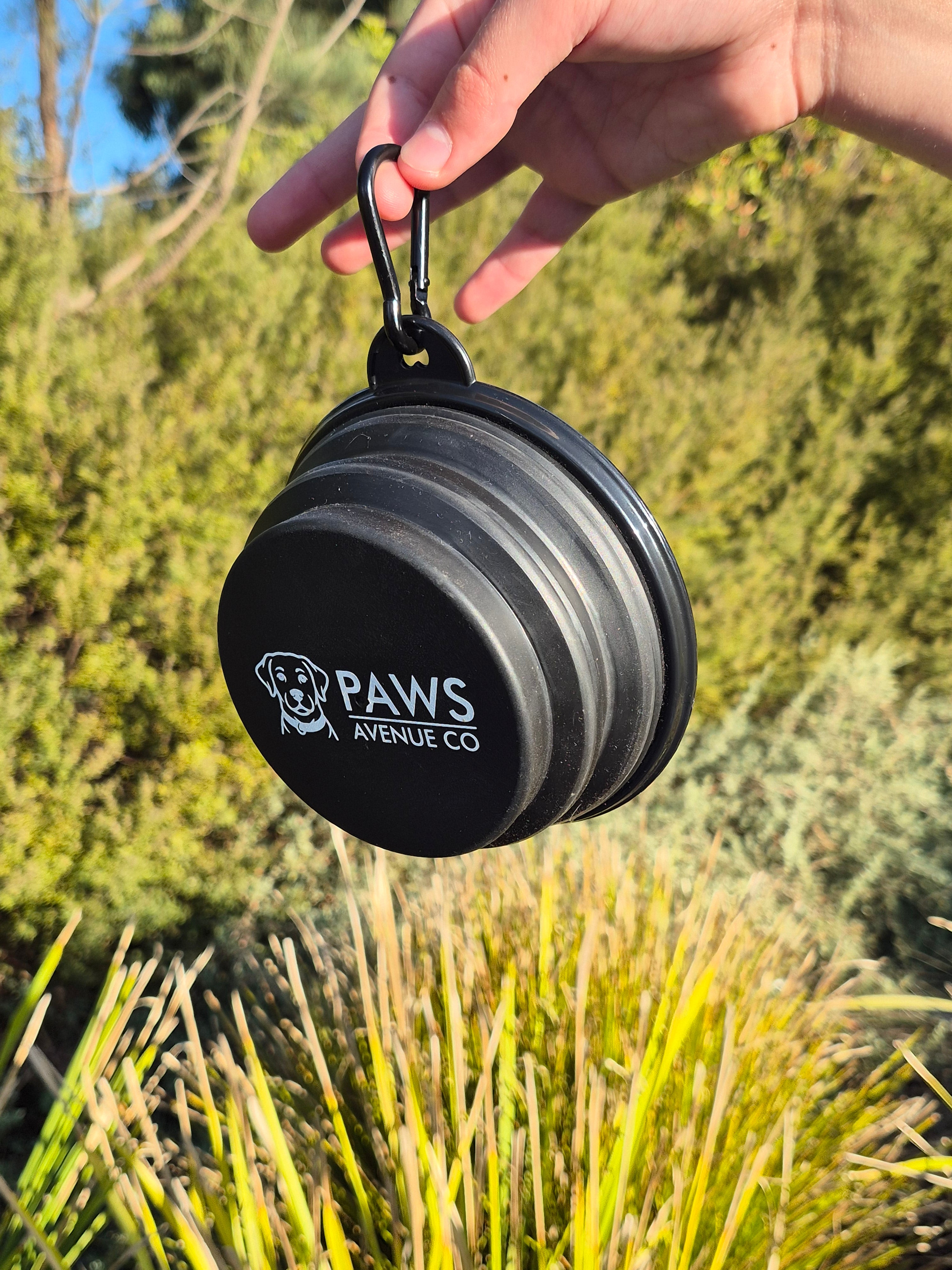 Collapsible Dog Bowl