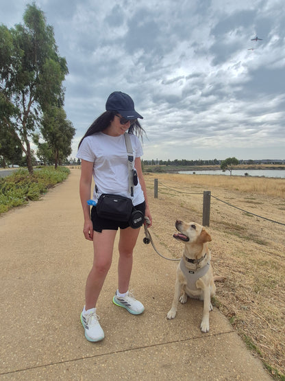 The Coordinated Dog Walk Bundle
