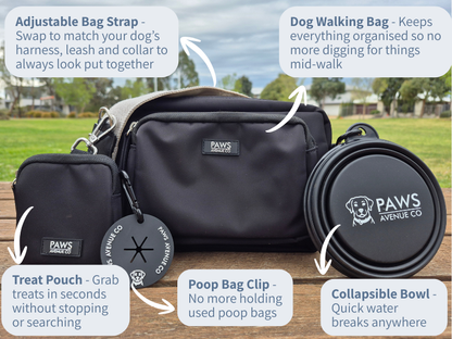 The Coordinated Dog Walk Bundle