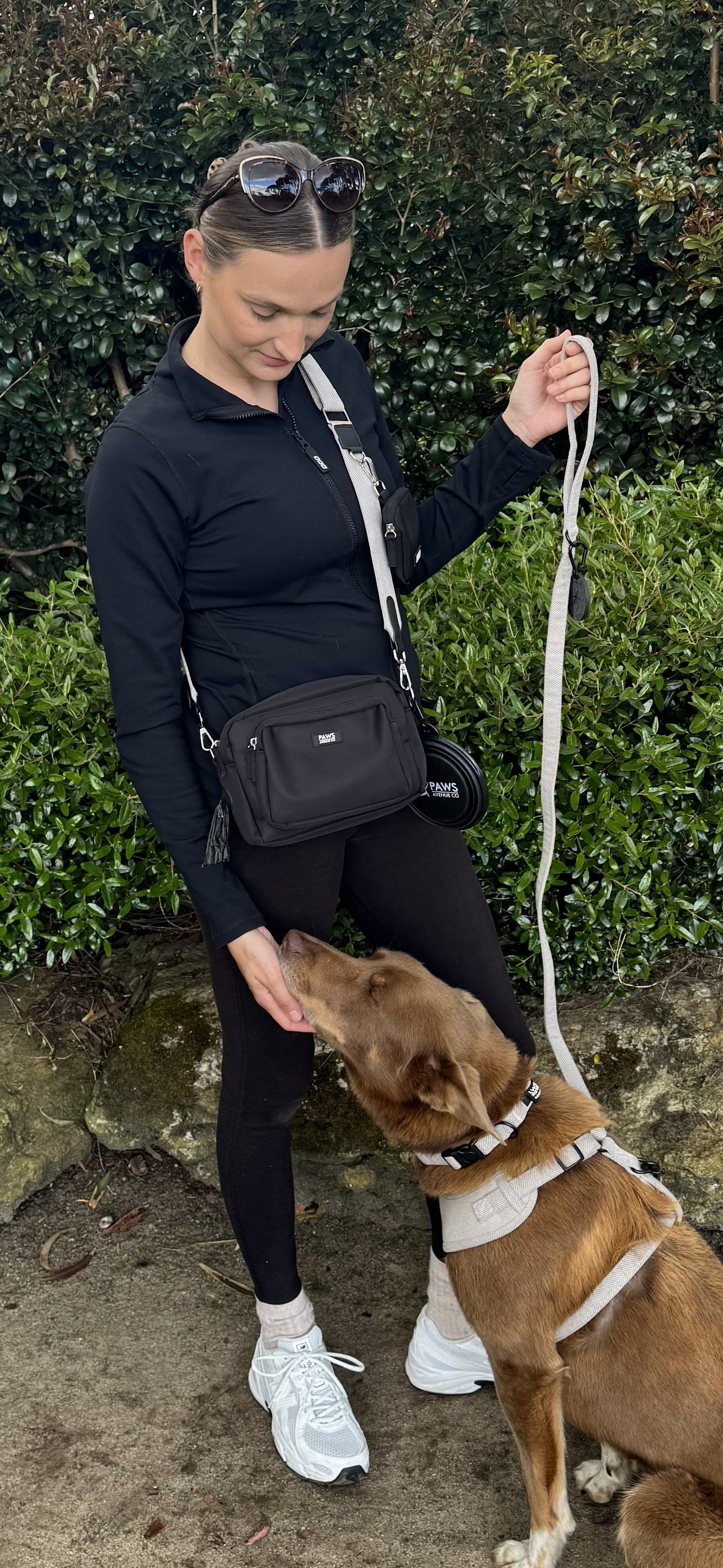 The Coordinated Dog Walk Bundle