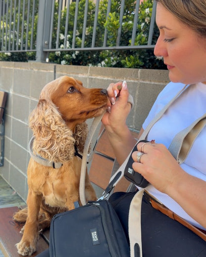 Ultimate Dog Walking Bag Bundle