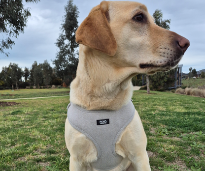 Adjustable Harness
