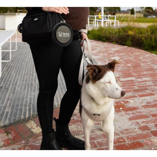 Adjustable Harness