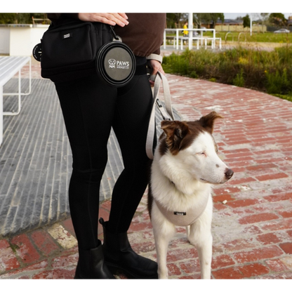 Adjustable Harness